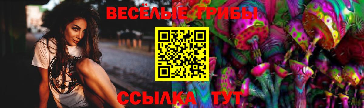Псилоцибиновые грибы Cubensis  Псилоцибиновые грибы Psilocybe  Вход с VPN  Сегежа 